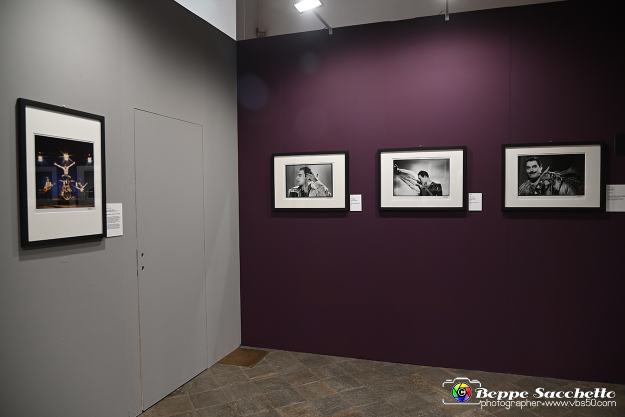 VBS_1681 - Mostra Peter Hince - Queen Experience.jpg